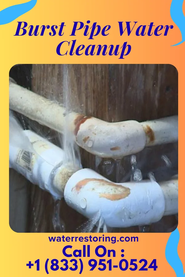 Burst Pipe Water Cleanup in Perrysville, OH