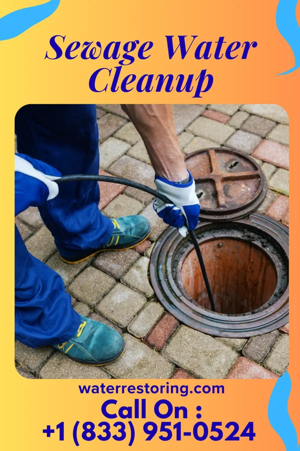 Sewage Water Cleanup in Perrysville, OH